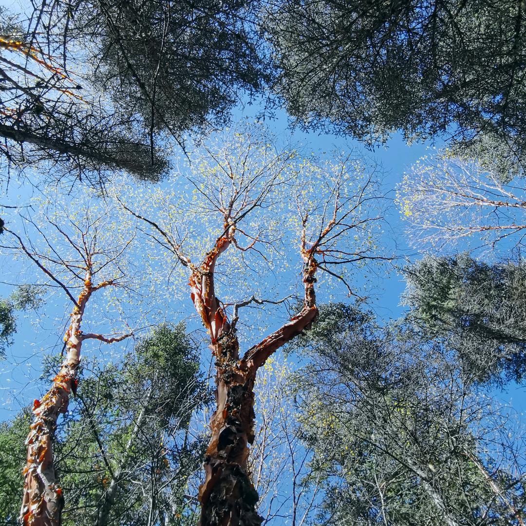 ℳ訐🍬ꦿృ🌺☀️諾