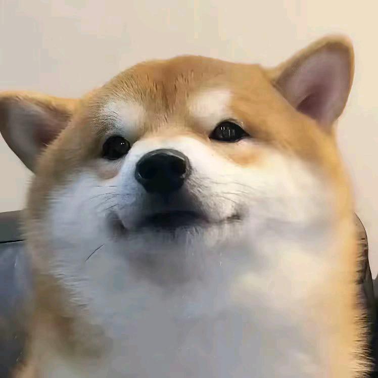 暗区突围白哥哥