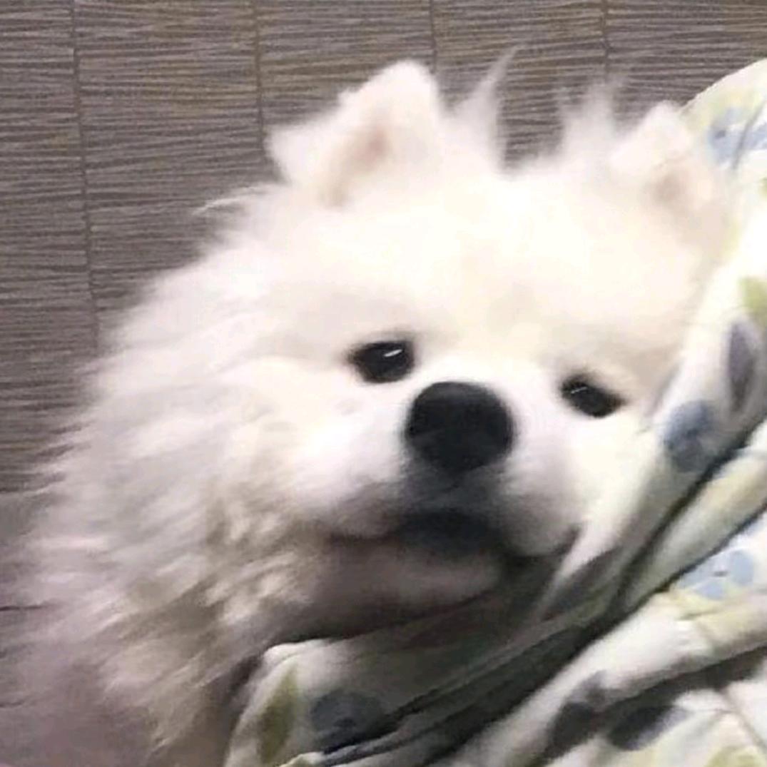 半岛铁盒