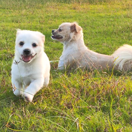 大棉袄二棉裤里面是羊皮外头裹着布