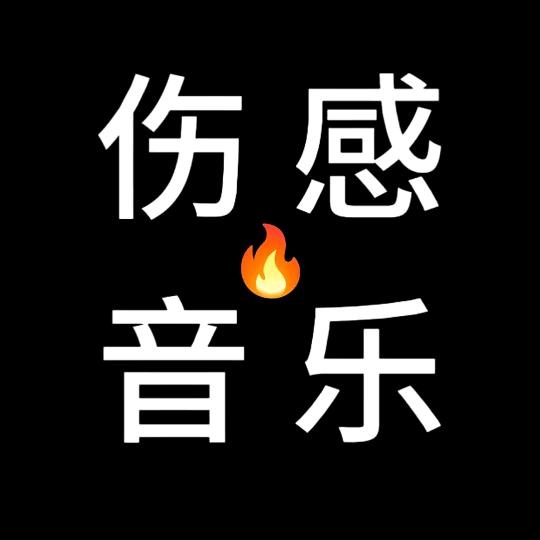 ✈️过千山万水听音乐