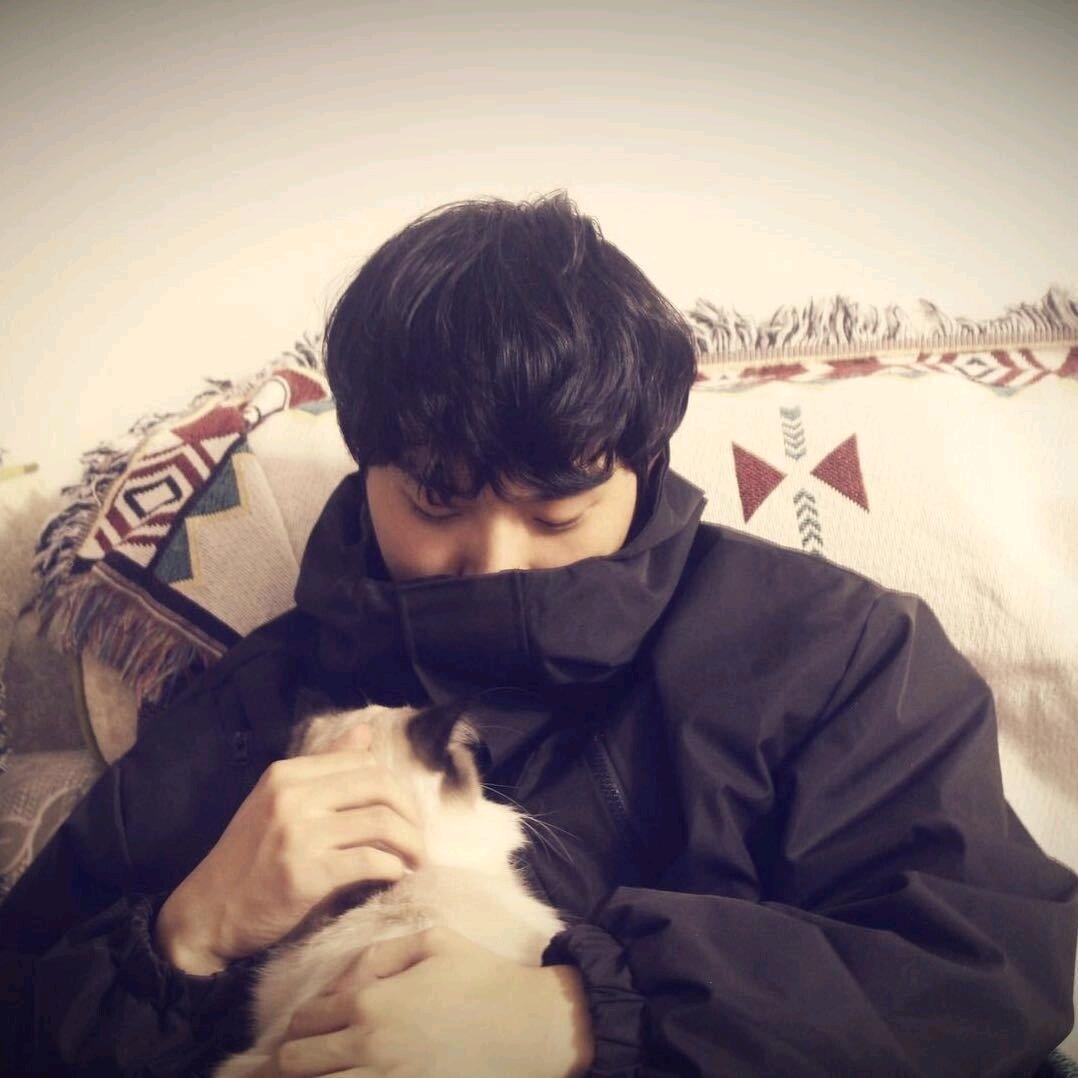 Billi