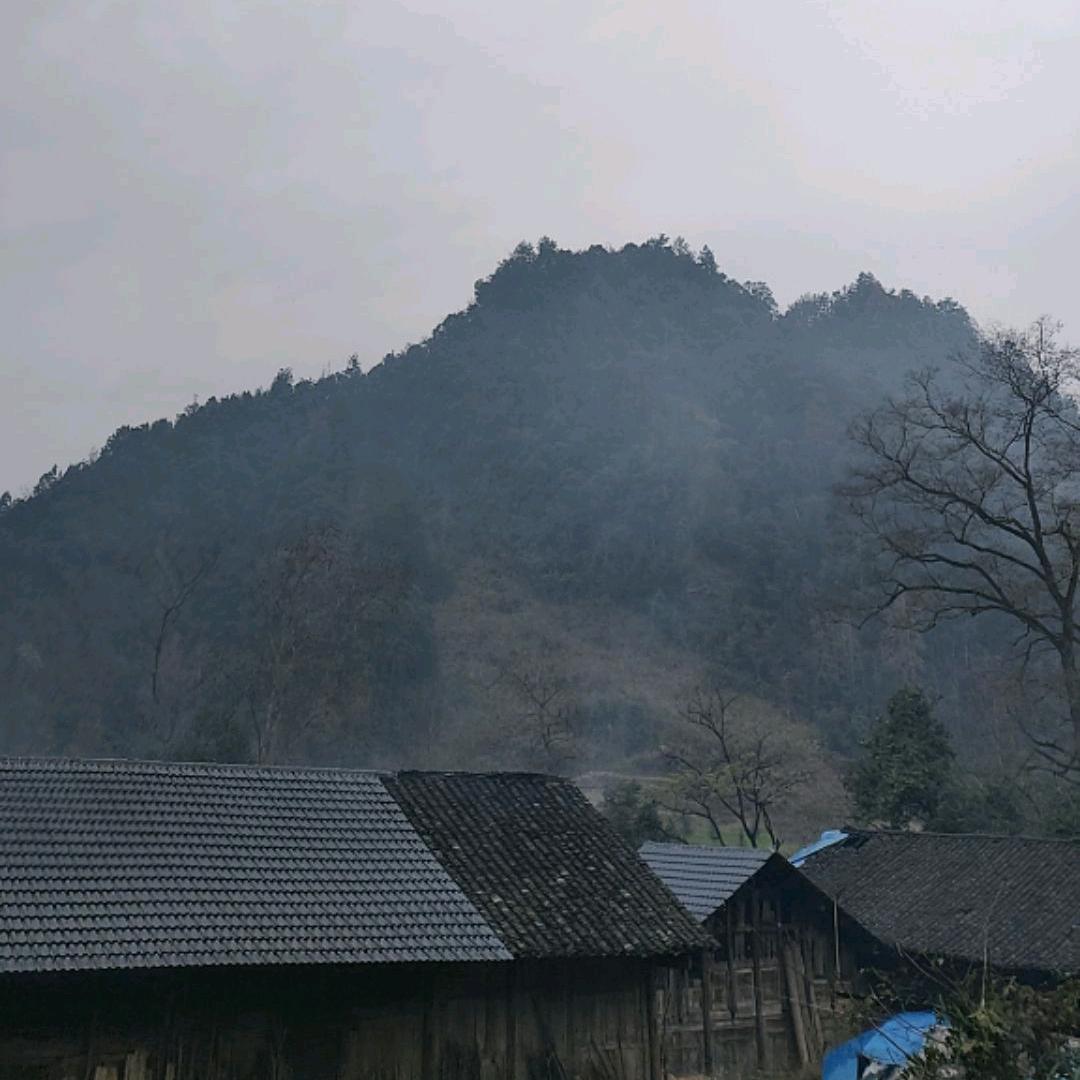 酉阳九九哥哥
