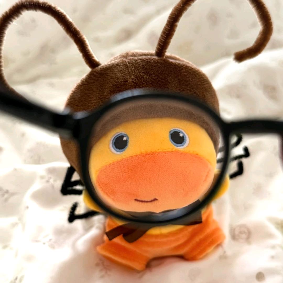 一个小柿子罢了