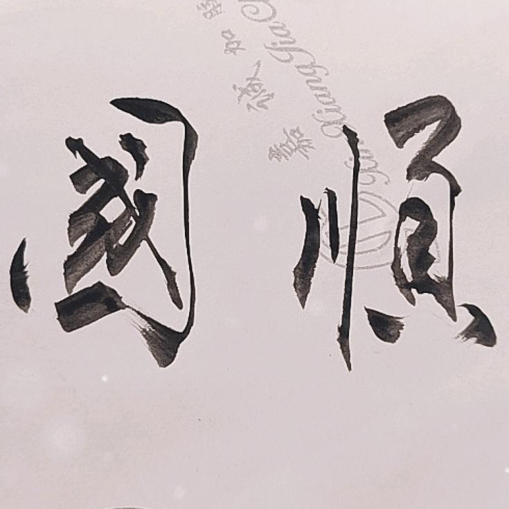 不枉此生（王国顺）