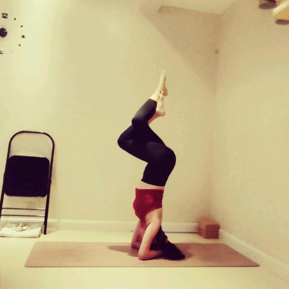 奔萌舍予瑜伽～鸽子老师