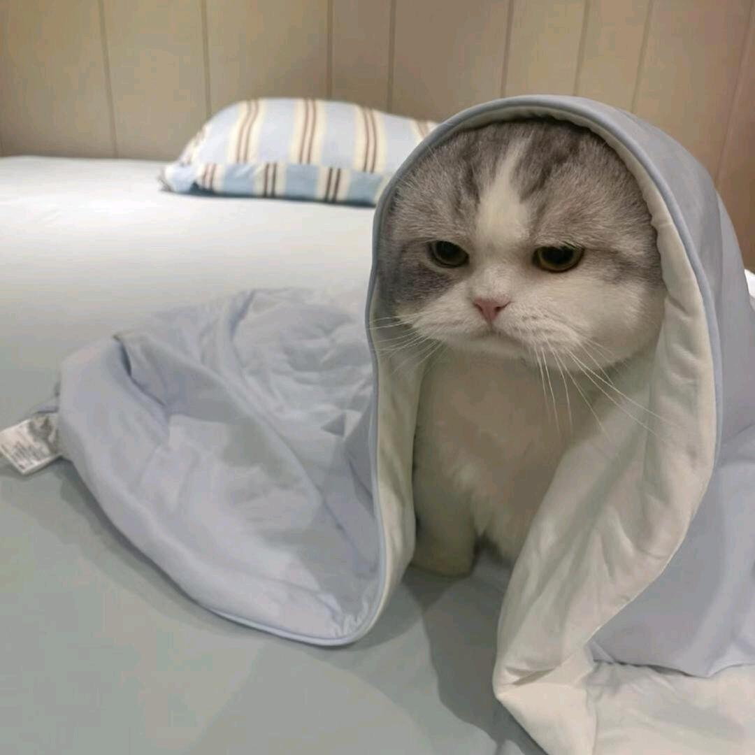 日暮枫亭