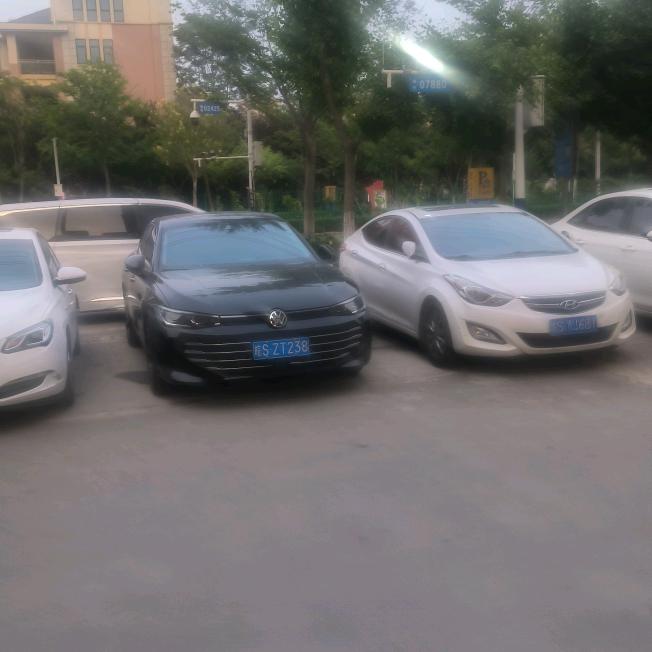 想你的人