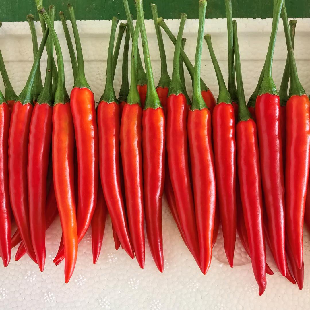 云南高原特色农产品，三农发展，椒妹子