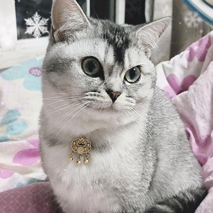 守望斌哥
