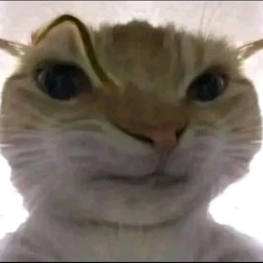 猛攻版曹老儿