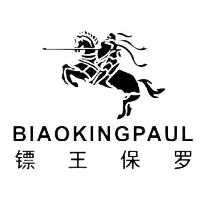 BIAOKINGPAUL创客男装