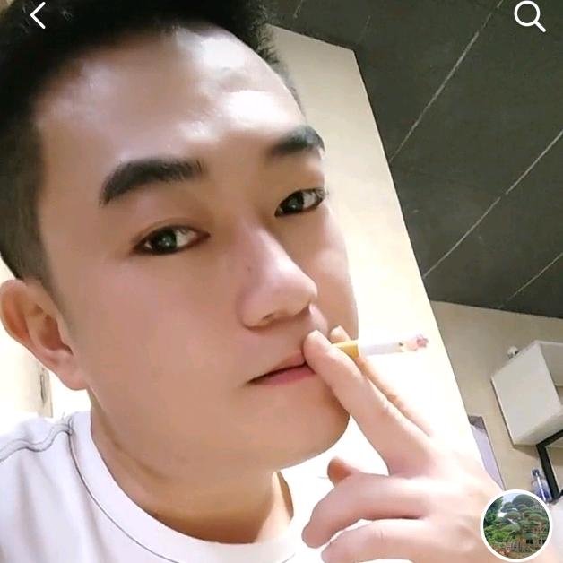 专业造型师，罗汉松黑松