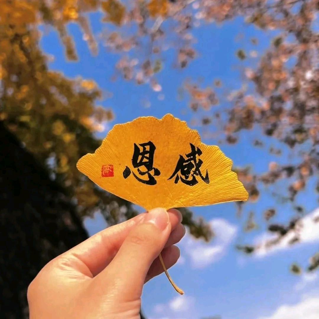 折上折（想瘦的私信）