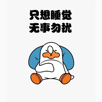 别叫我，我在睡觉