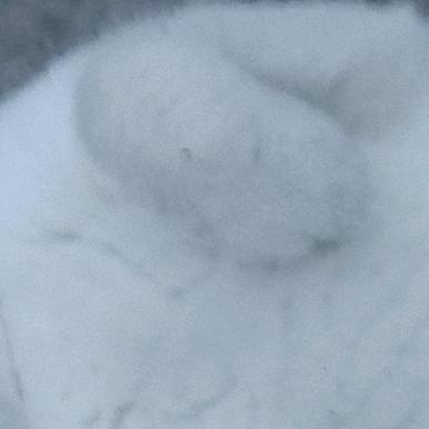 浼蘏