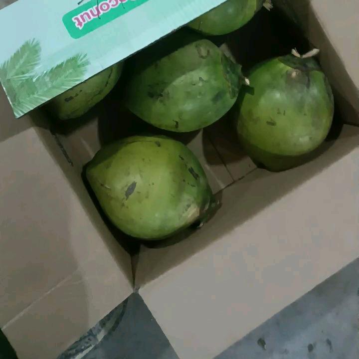 海南农产品