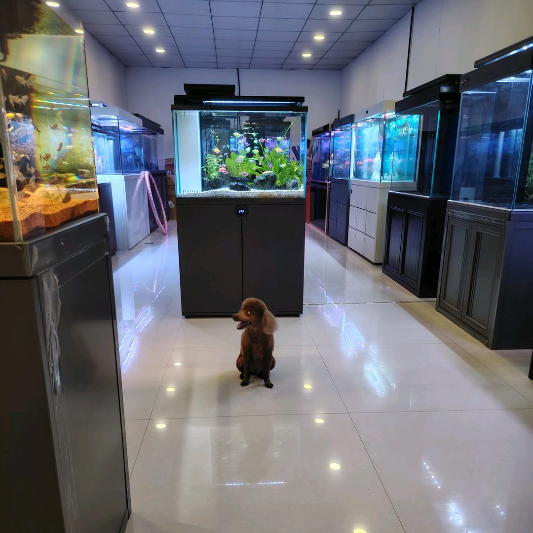 塞上花都鸿凯水族