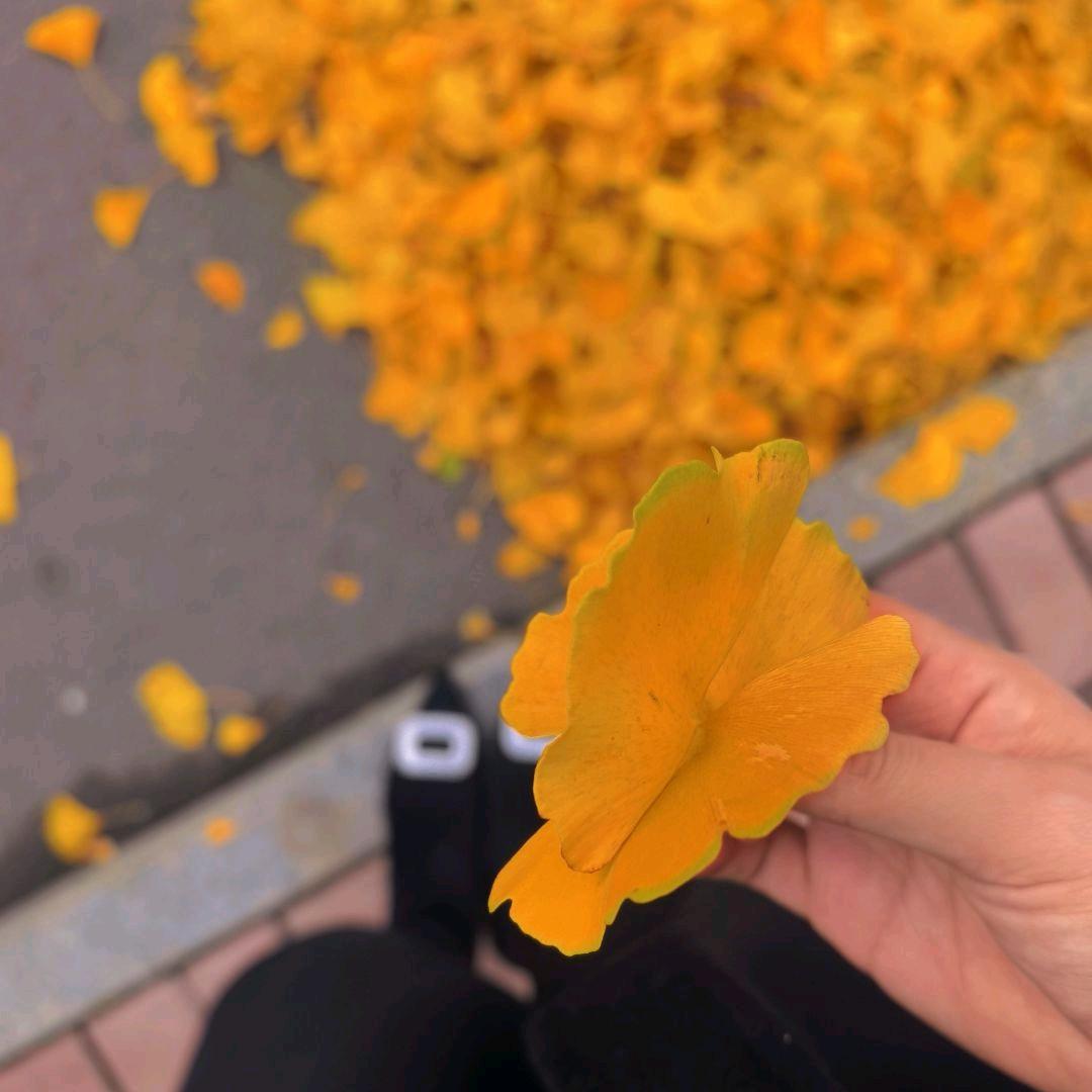 ~L. ❤
