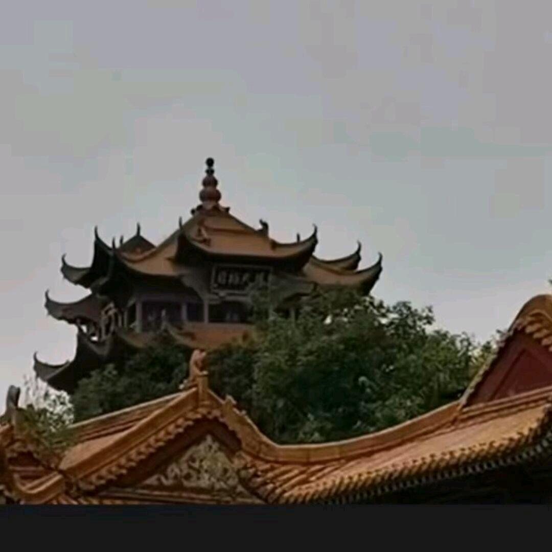 梦情