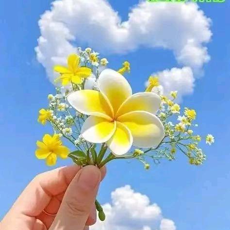 东台渔蔬酒巷食品精选