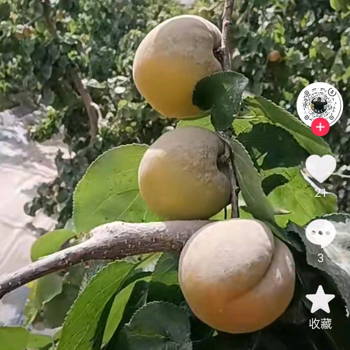 家人们我爱你，