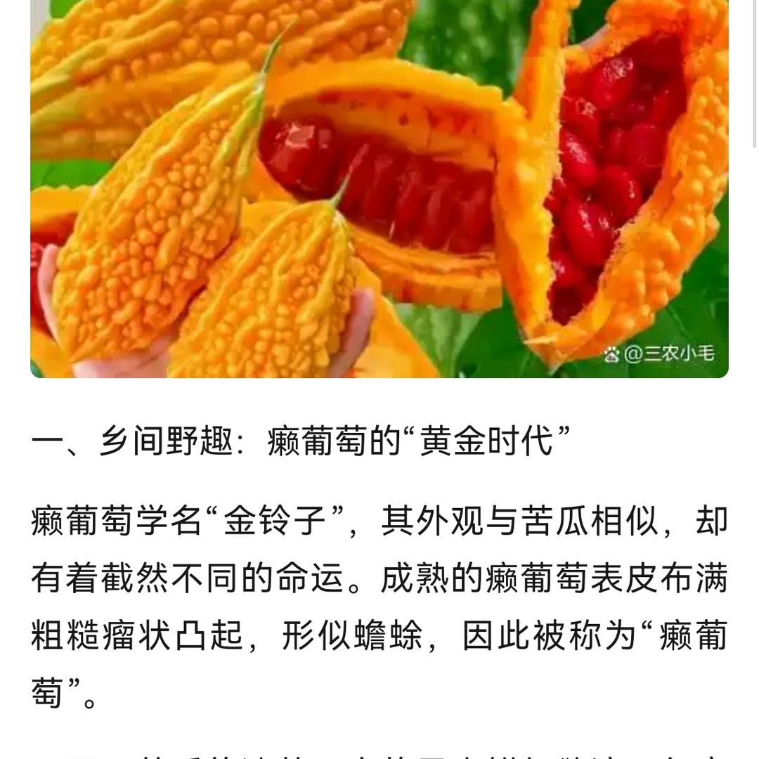 三元养生🍊🍊