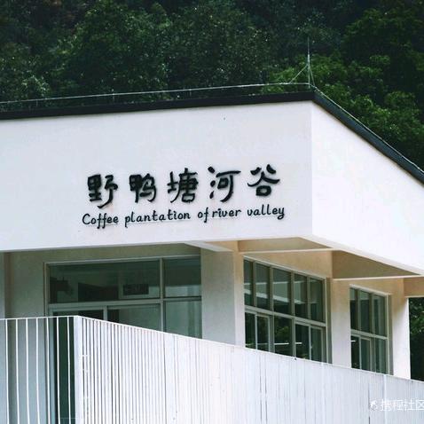 三秋谧苑&野鸭塘河谷咖啡