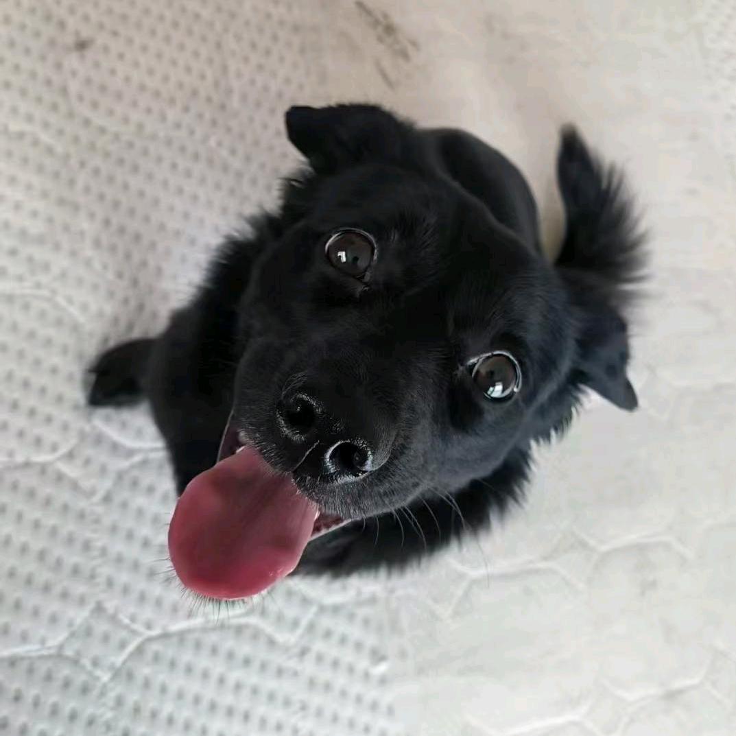 Seven倾卿