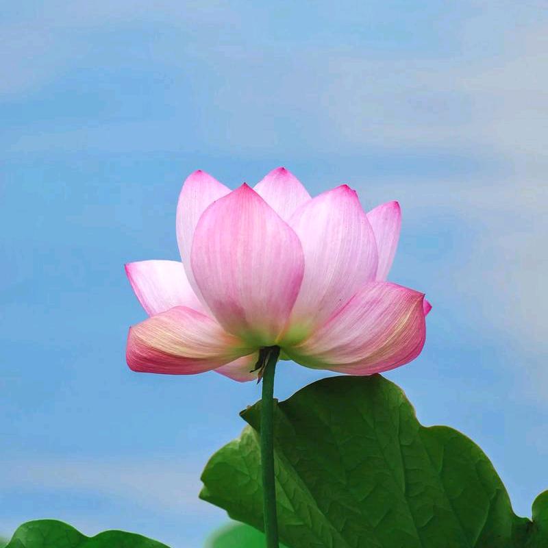温暖阳光