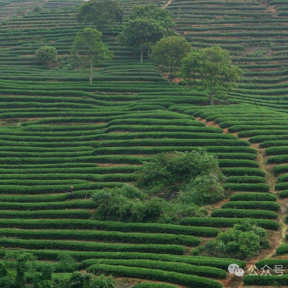 小学生👨🏻‍🎓