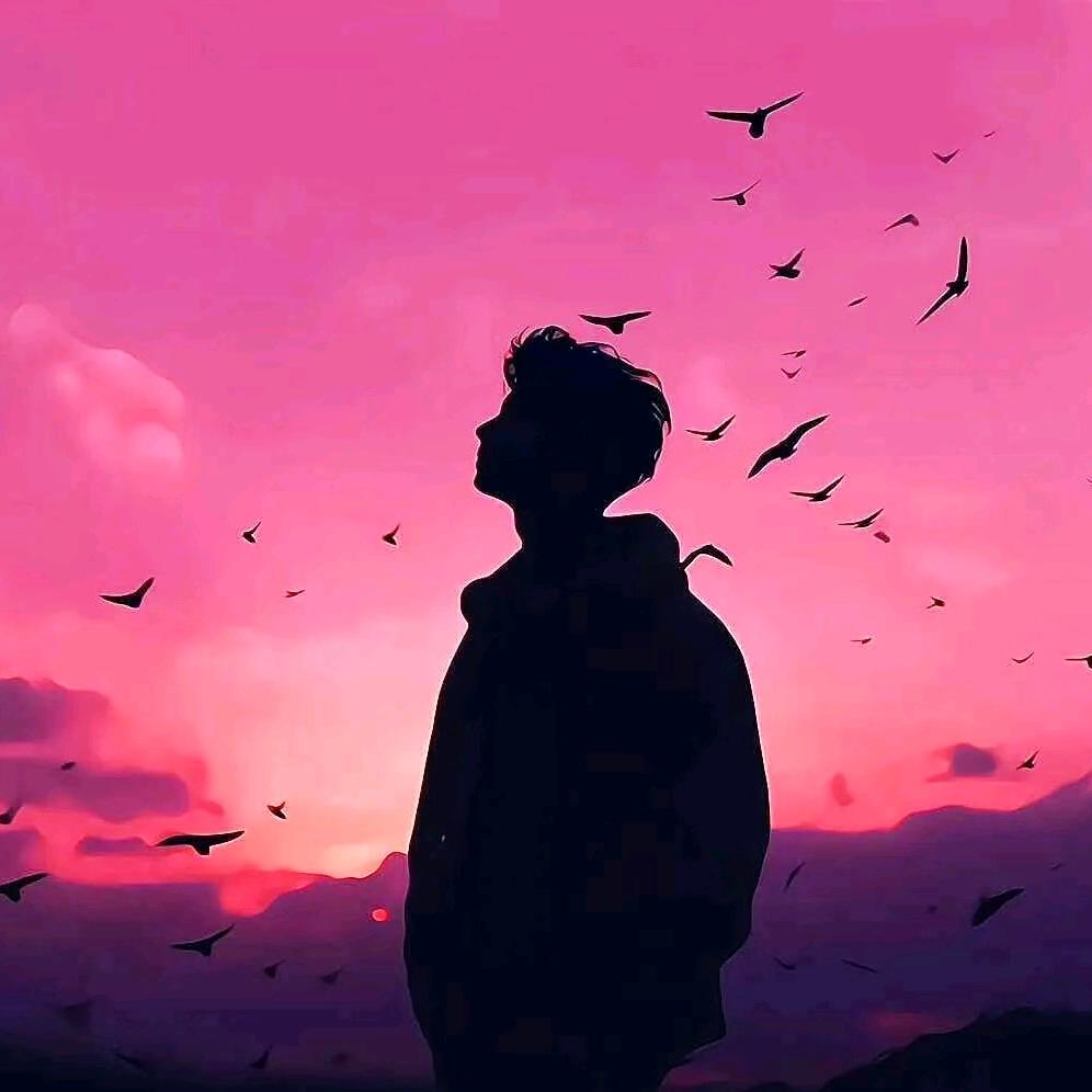 °ʚ一世清欢ɞ°