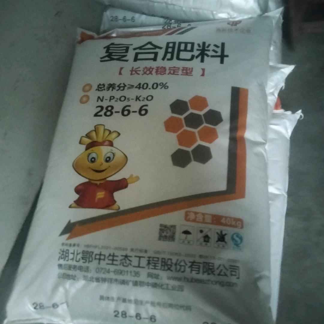 果果首播上午9点10分