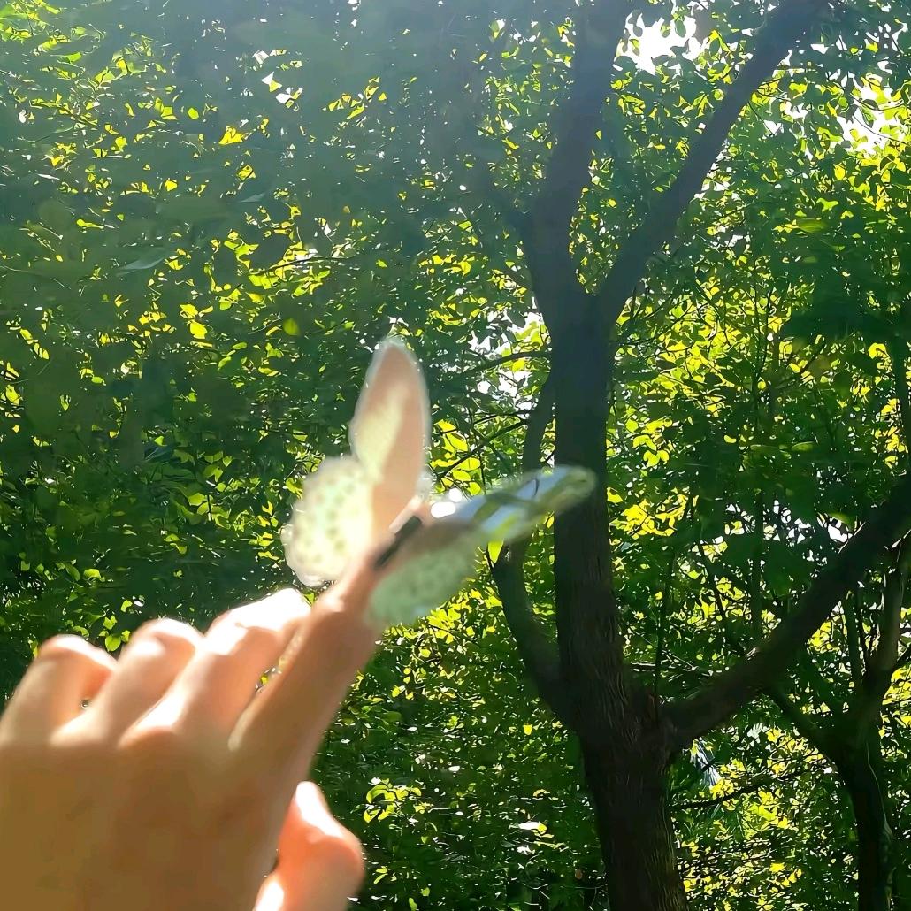 灼灼韶华甄选