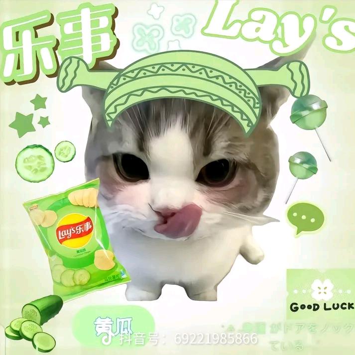 池塘里的于头像
