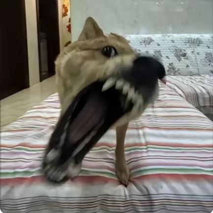 哈咦唔诶嘿头像