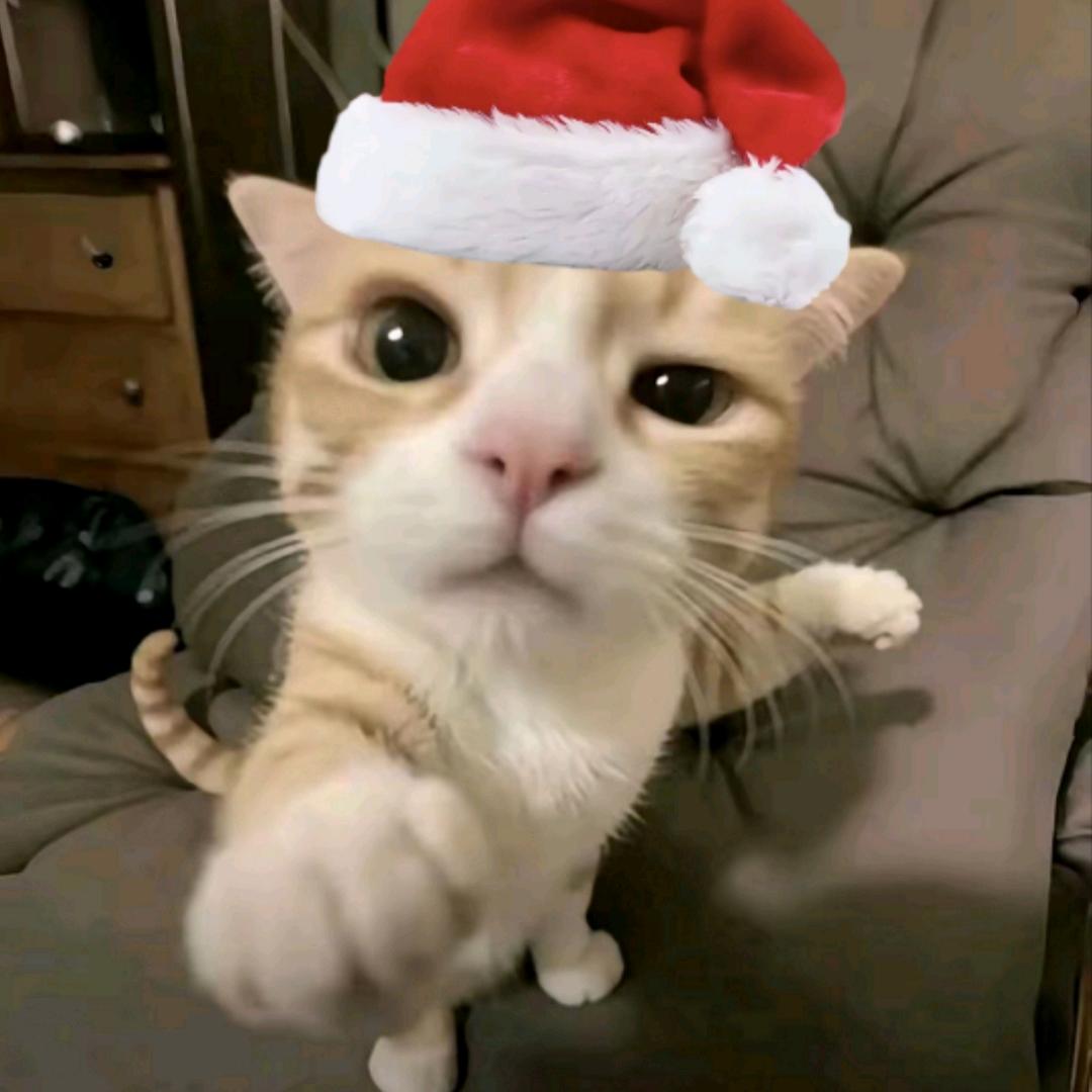 我其实叫“缘分”