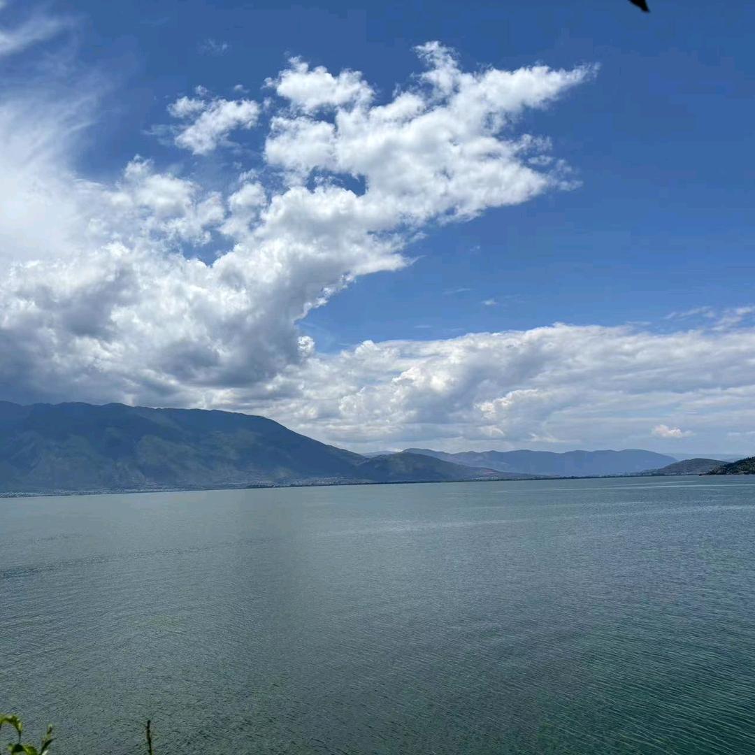 …富贵的心尖尖儿…