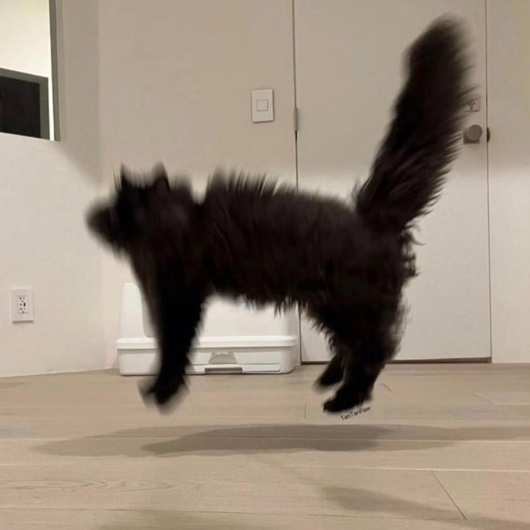 好名都让狗取了ᴹᵘ⁷⁵²