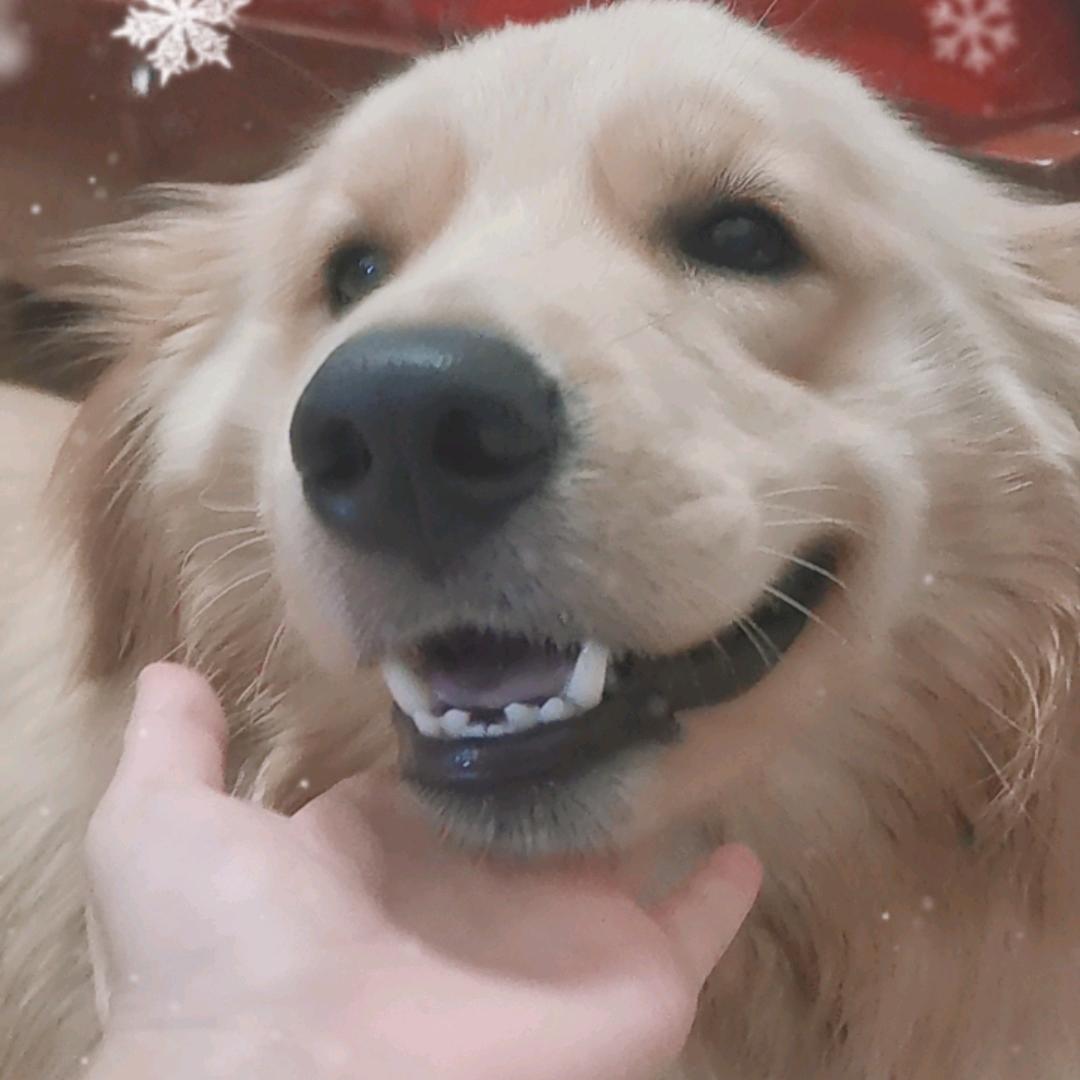 果冻,红红姐姐,