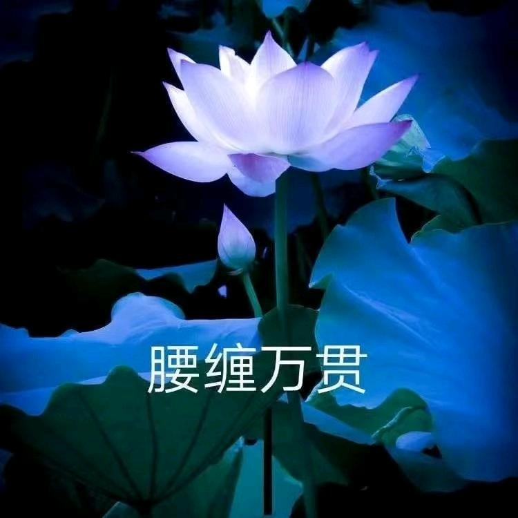 雨中百合(u‿ฺu✿ฺ)