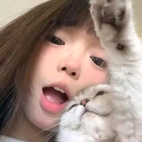 译