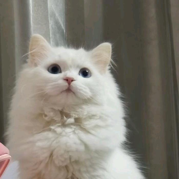 大是大非我做主