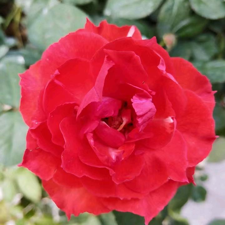 锦上添花
