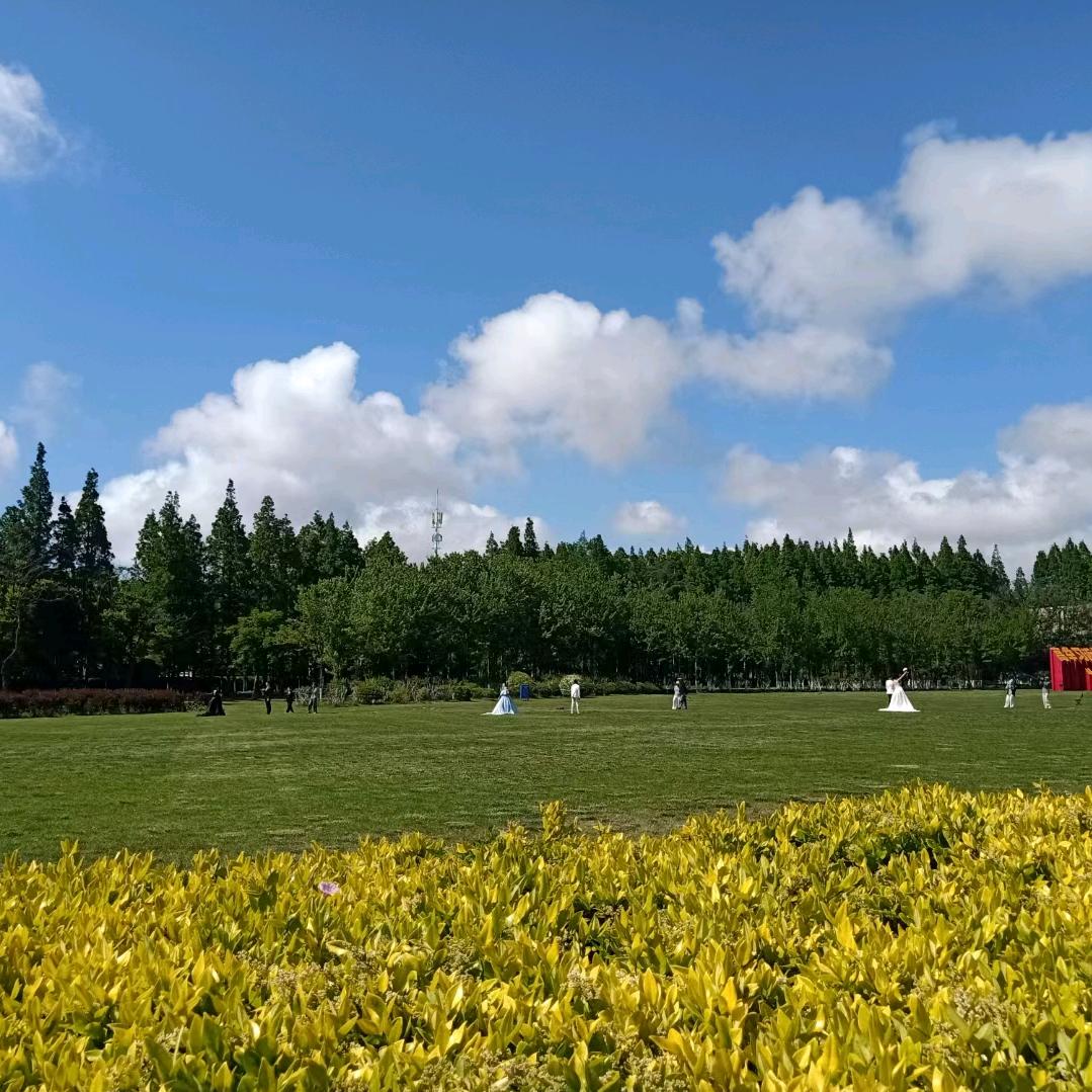 爬山登顶