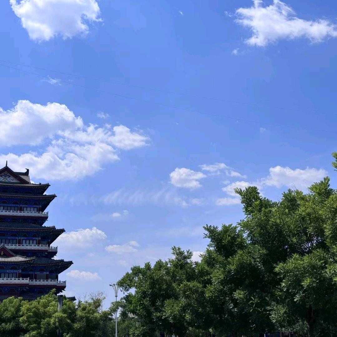 龙龙🐲