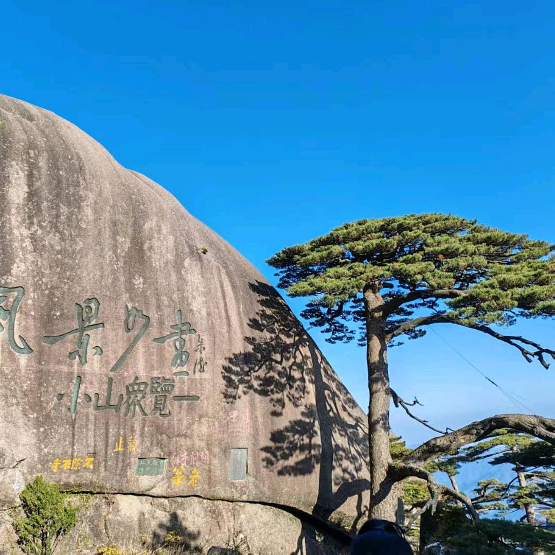 王佳琦