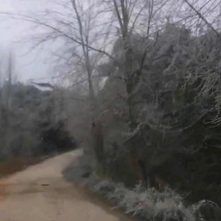 客家-农村鵬哥-0827