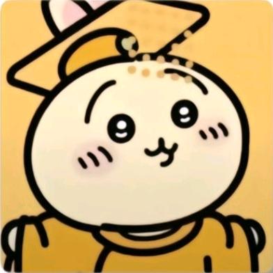 芝士片儿