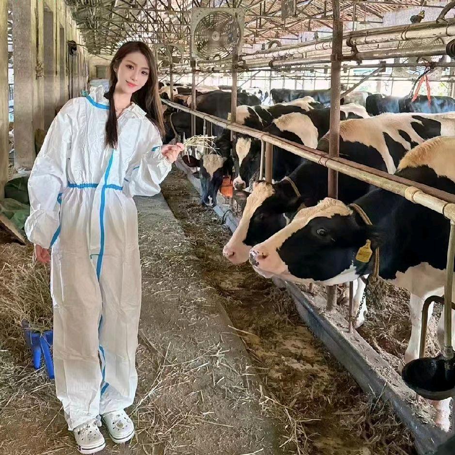 全国回收各种防疫物资